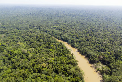Em contraponto à beleza da Floresta Amazônica, seu solo não possui grande riqueza em nutrientes.